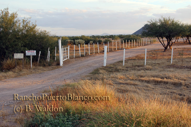 The entrance to Rancho Puerto Blanco